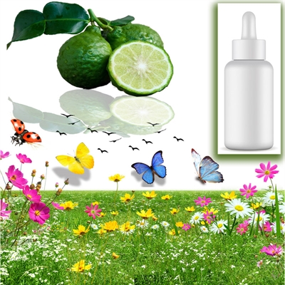 Resim Bergamot Mum Koku Esansı 30 cc